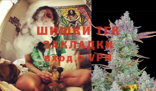 гидра Зеленодольск