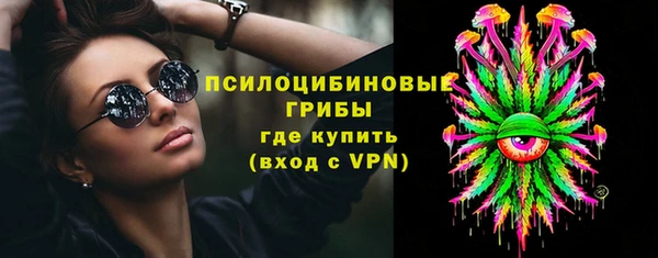 гидра Зеленодольск