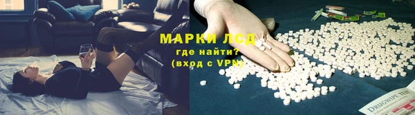 гидра Зеленодольск