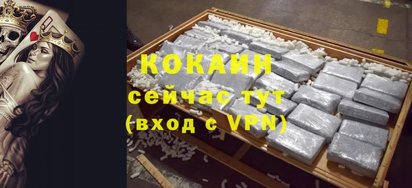 индика Зерноград