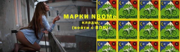 индика Зерноград