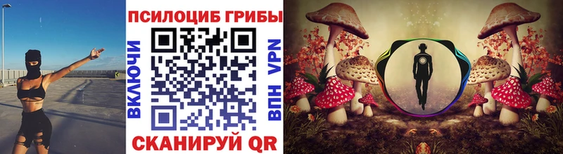 Купить где  Завитинск  Галлюциногенные грибы GOLDEN TEACHER 