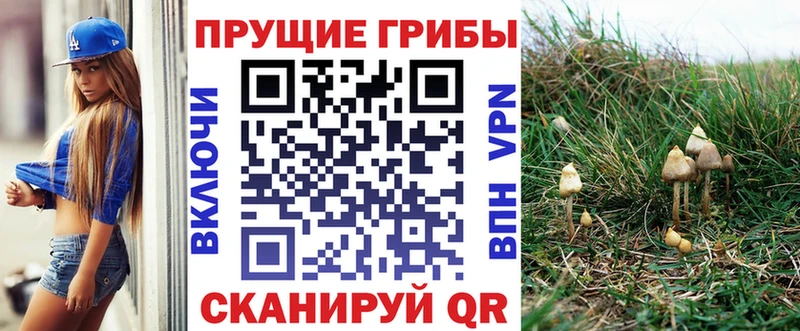 Галлюциногенные грибы Magic Shrooms Завитинск